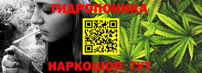 синтетический гашиш Кингисепп
