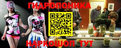 прущая мука Кимры