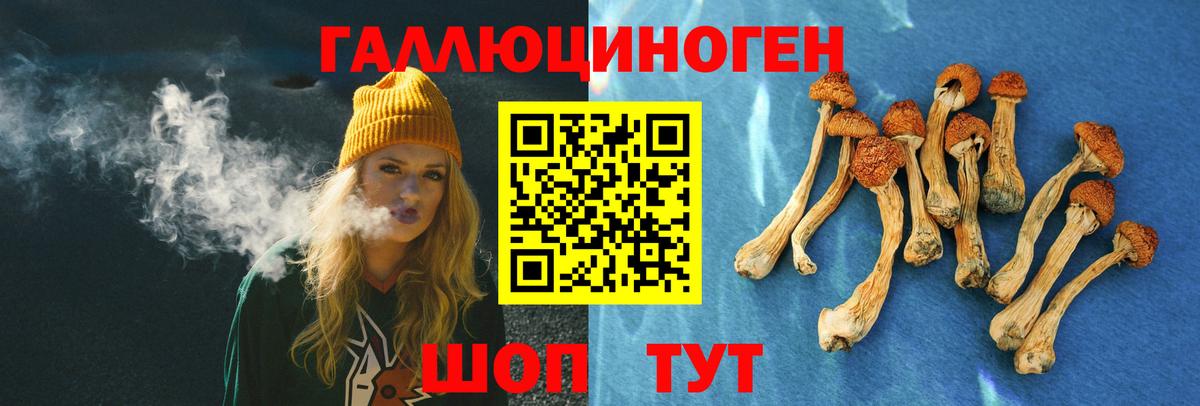 Псилоцибиновые грибы GOLDEN TEACHER Волоколамск