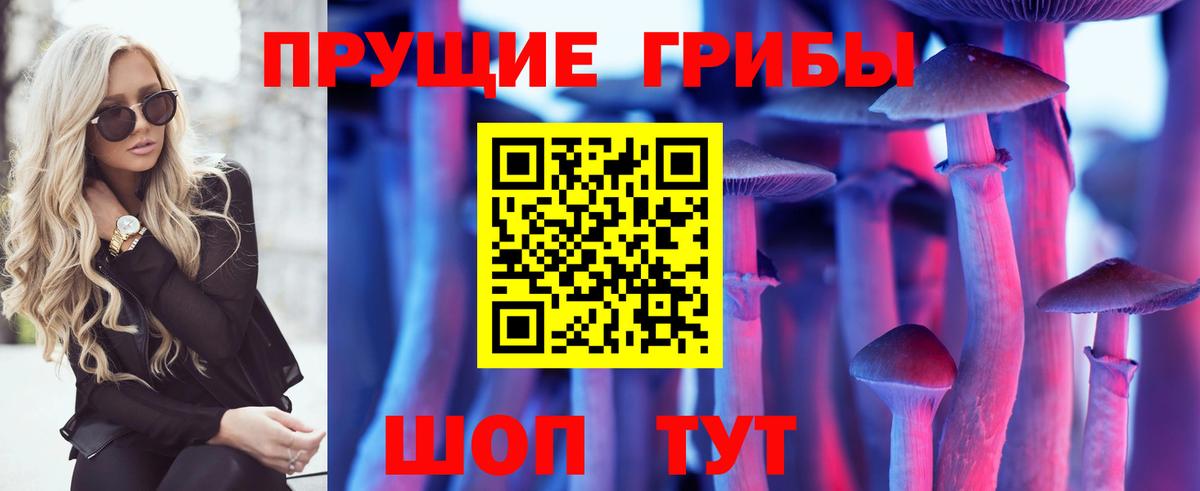Волоколамск  Галлюциногенные грибы Cubensis  Вход с VPN 